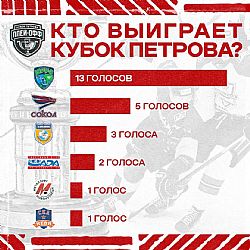 ХК "Ростов" предположил, кто станет чемпионом ВХЛ-2023